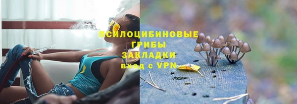 метадон Арсеньев