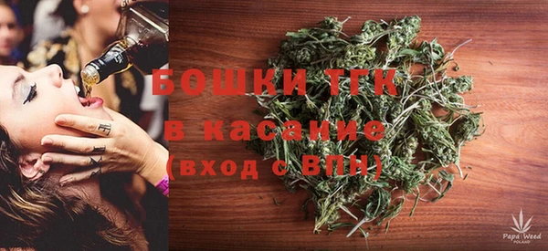 прущие грибы Навашино